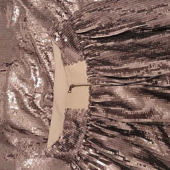 NWOT Alice + Olivia One of a Kind Floor Length Silver Sequin Skirt - Picture 6 of 7